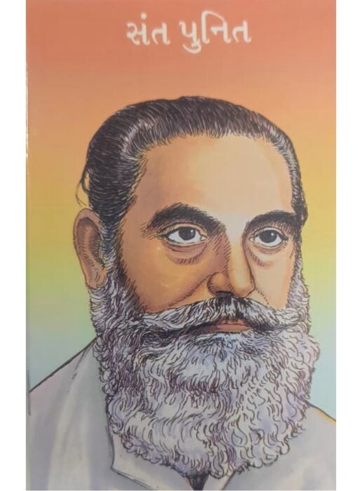 સંત પુનિત - બાલ ભારતી ટ્રસ્ટ